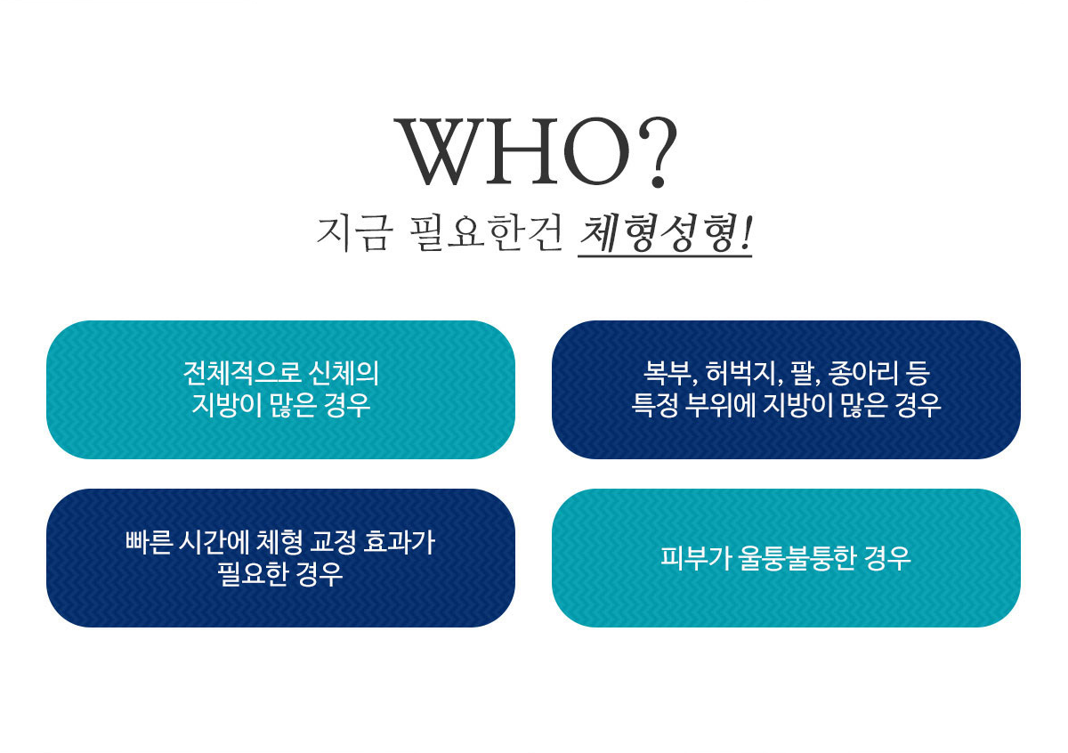 체형성형이 필요하신분?